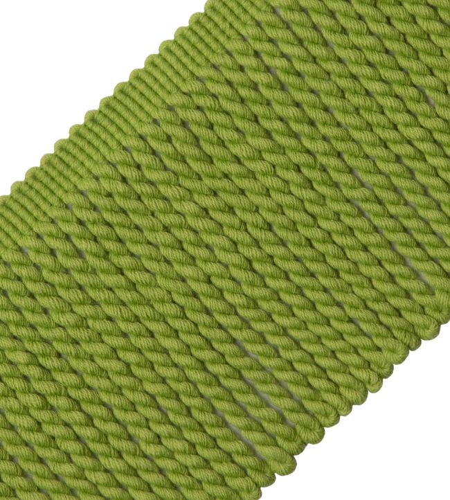 Aspen Bullion Fringe Trimming by Samuel & Sons Meadow