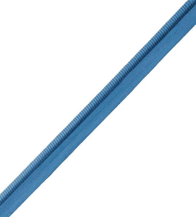 Aspen Piping Trimming by Samuel & Sons Blue Sky
