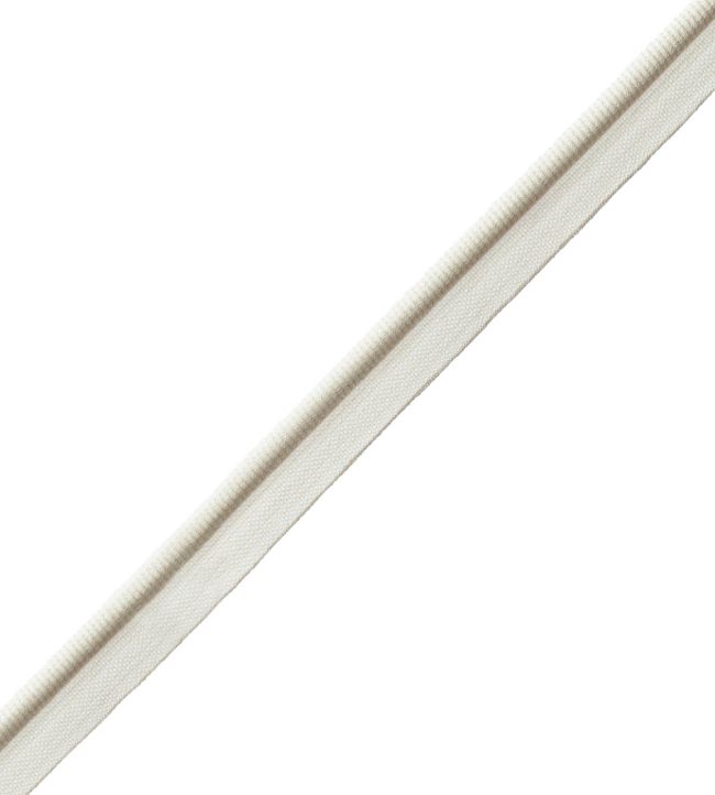 Aspen Piping Trimming by Samuel & Sons Canvas