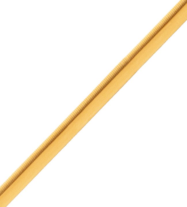Aspen Piping Trimming by Samuel & Sons Golden Glow