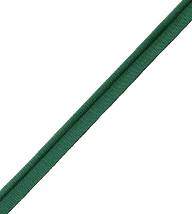 Aspen Piping Trimming by Samuel & Sons Juniper