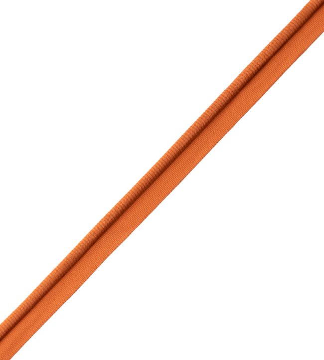 Aspen Piping Trimming by Samuel & Sons Marigold