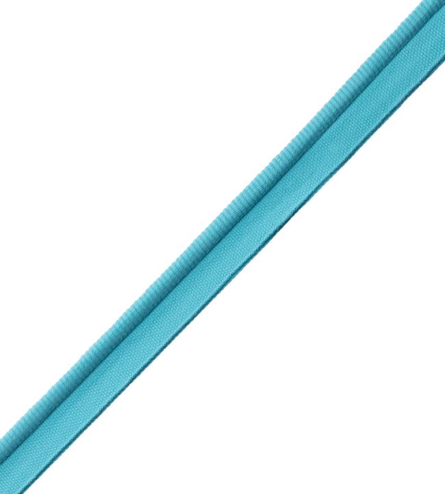 Aspen Piping Trimming by Samuel & Sons Pool