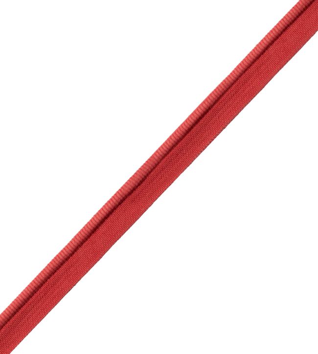 Aspen Piping Trimming by Samuel & Sons Poppy