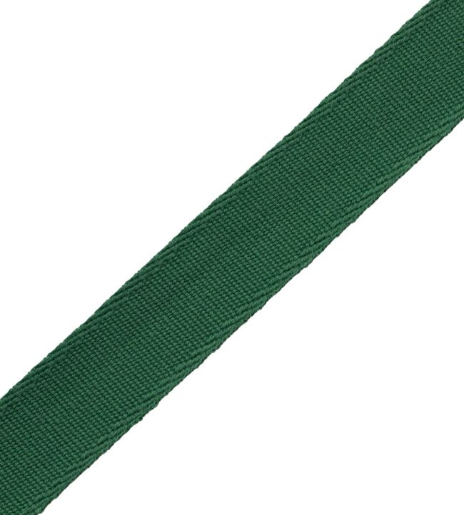 Aspen Ribbed Border Trimming by Samuel & Sons Juniper