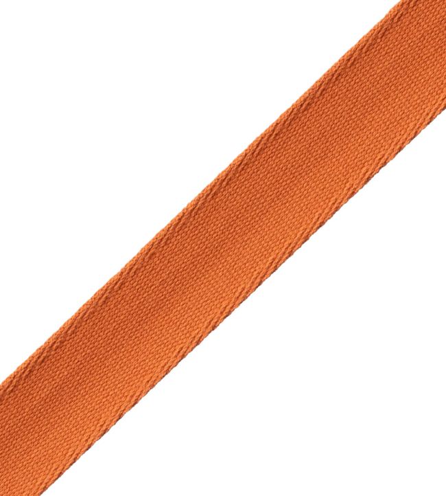 Aspen Ribbed Border Trimming by Samuel & Sons Marigold