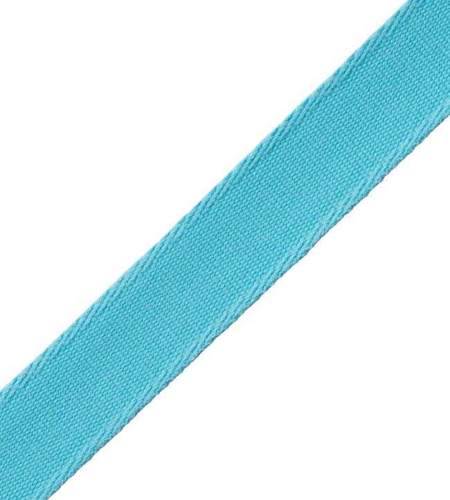 Aspen Ribbed Border Trimming by Samuel & Sons Pool