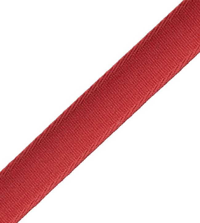 Aspen Ribbed Border Trimming by Samuel & Sons Poppy