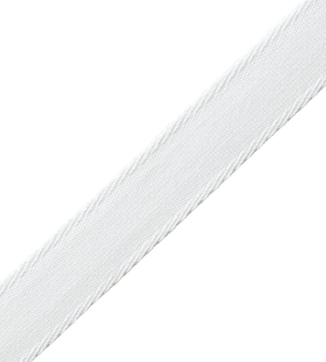 Aspen Ribbed Border Trimming by Samuel & Sons Snow
