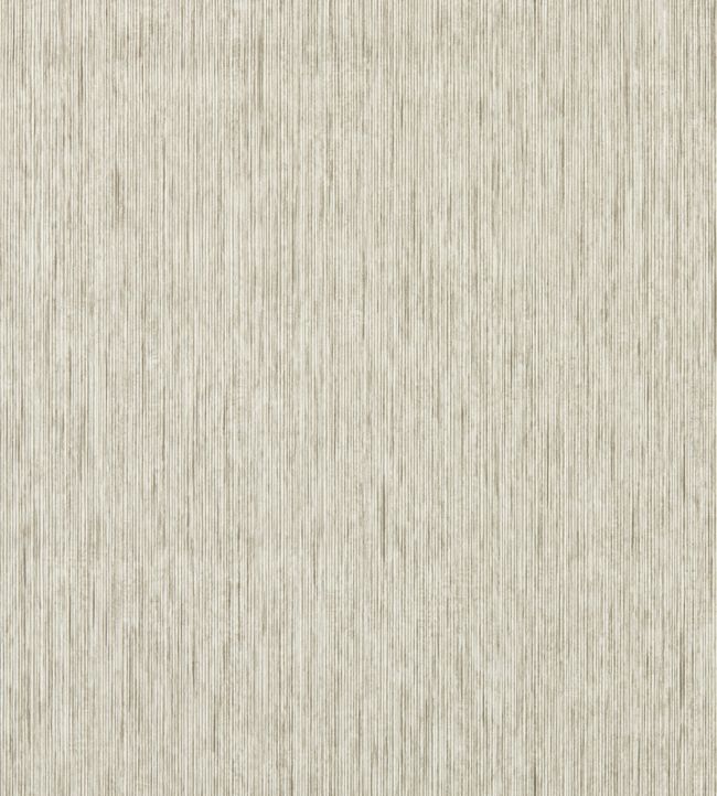 Asper Wallpaper by Clarke & Clarke Putty