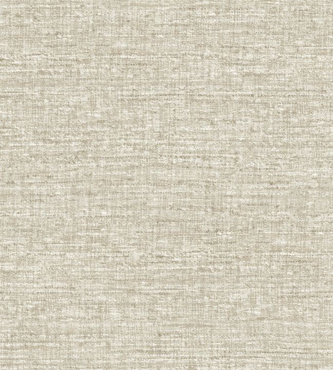 Aspero Wallpaper by Arte Mushroom