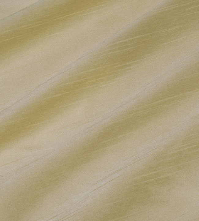 Astor Fabric by James Hare Narcissus