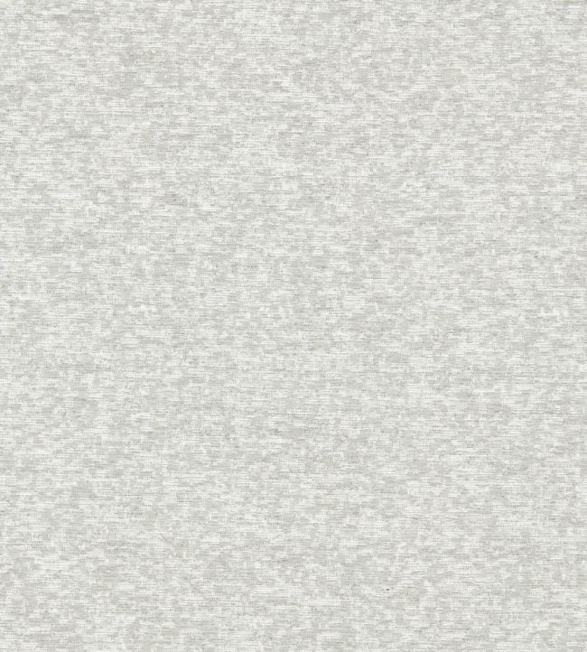 Astraea Fabric by Clarke & Clarke Dove