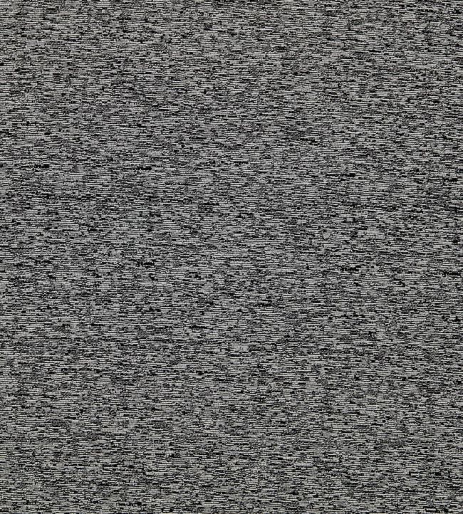 Astraea Fabric by Clarke & Clarke Ebony