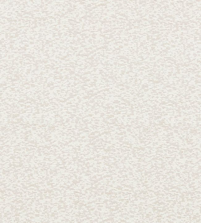 Astraea Fabric by Clarke & Clarke Parchment