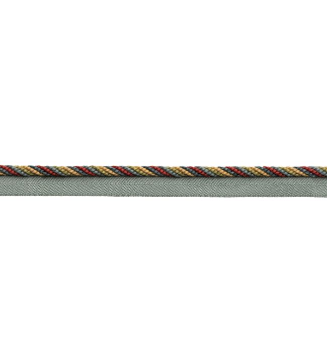 Astrid Cord with Tape Trimming by Samuel & sons Jewel