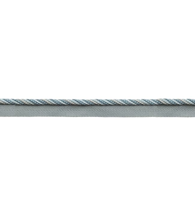 Astrid Cord with Tape Trimming by Samuel & sons Rain