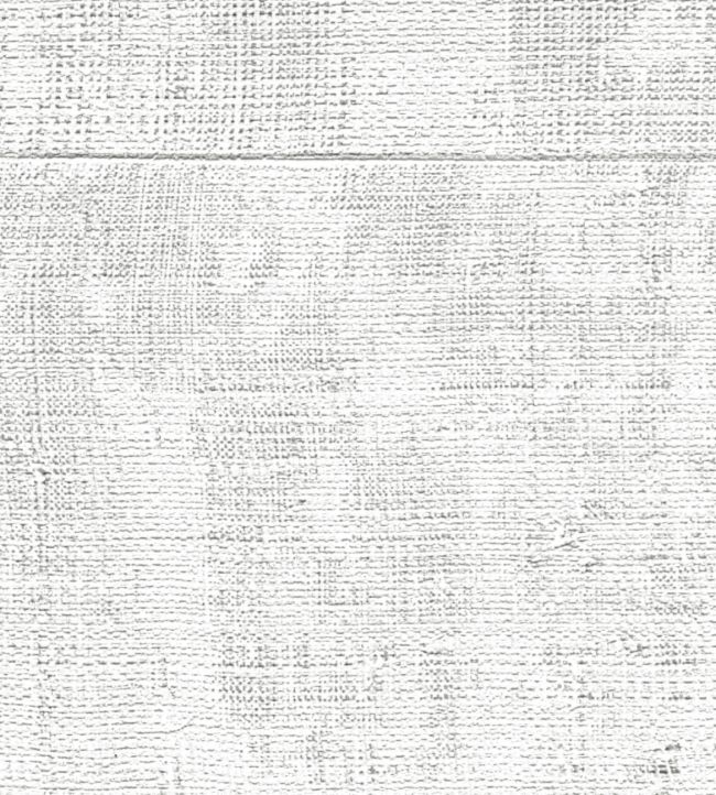 Atelier D'Artiste Wallpaper by Elitis Retour en Grace