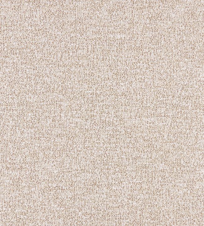 Atlas Fabric by Warwick Biscuit