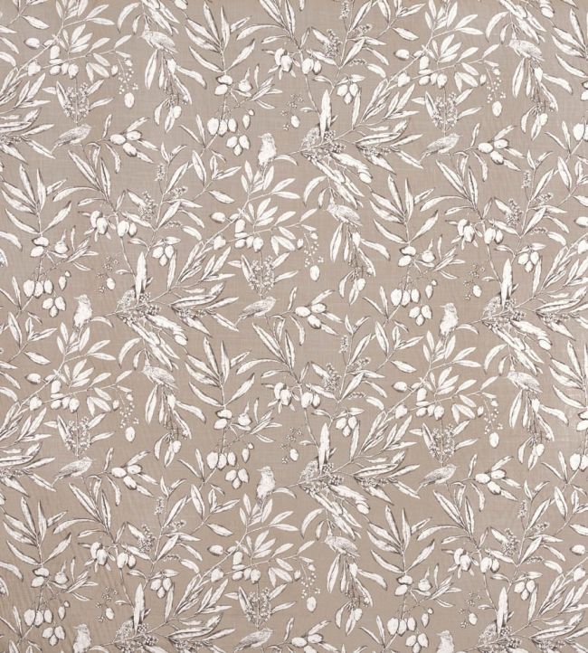 Aviary Fabric by Prestigious Textiles Parchment