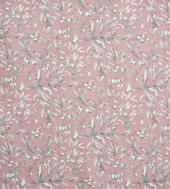 Aviary Fabric by Prestigious Textiles Woodrose