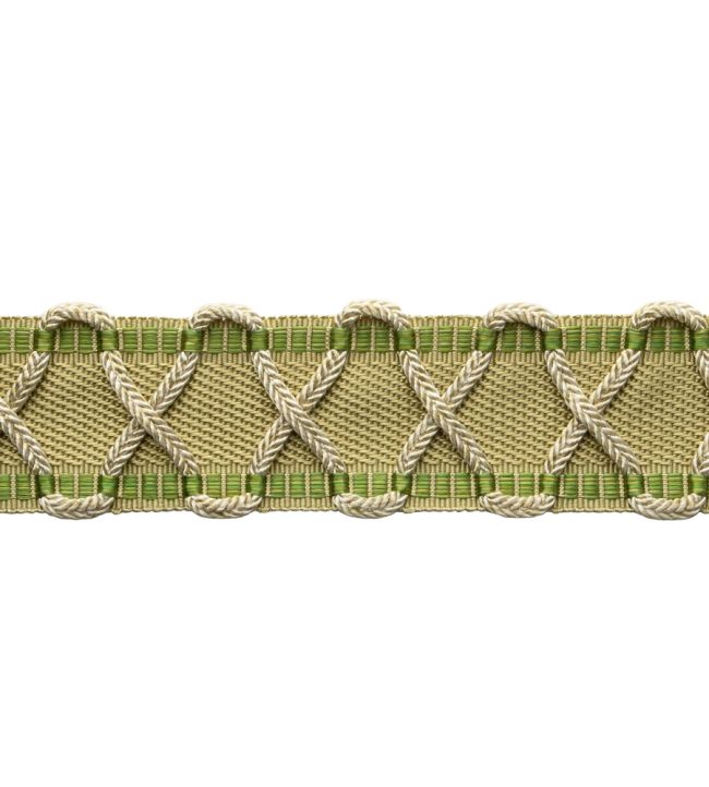 Bagatelle Border Trimming by Samuel & Sons Fern