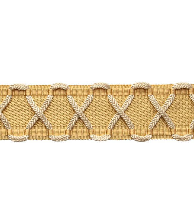Bagatelle Border Trimming by Samuel & Sons Jonquil