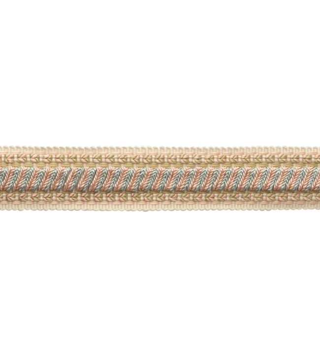Bagatelle Braid Trimming by Samuel & Sons Bloom