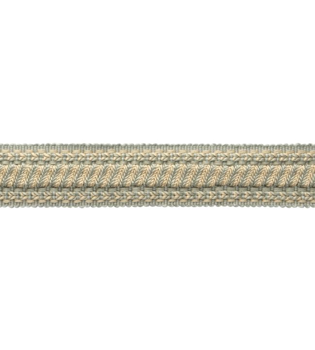 Bagatelle Braid Trimming by Samuel & Sons Dewdrop