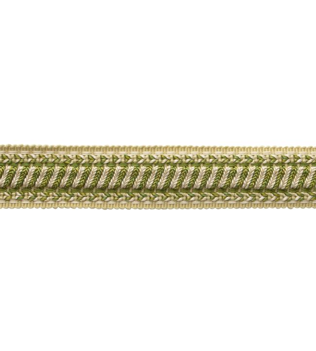 Bagatelle Braid Trimming by Samuel & Sons Fern