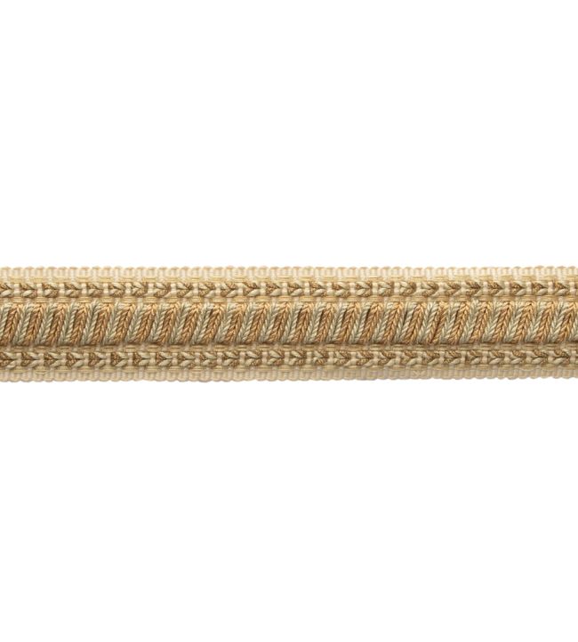 Bagatelle Braid Trimming by Samuel & Sons Gilded Gold