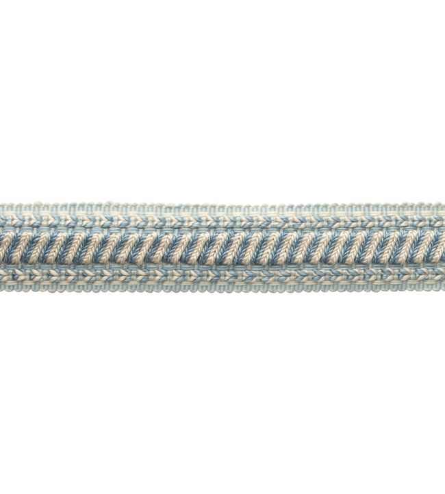 Bagatelle Braid Trimming by Samuel & Sons Hydrangea