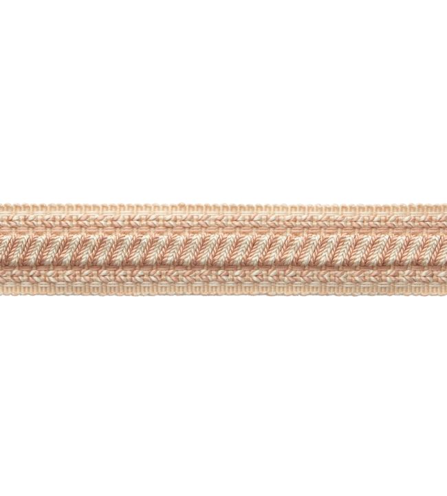 Bagatelle Braid Trimming by Samuel & Sons Petal