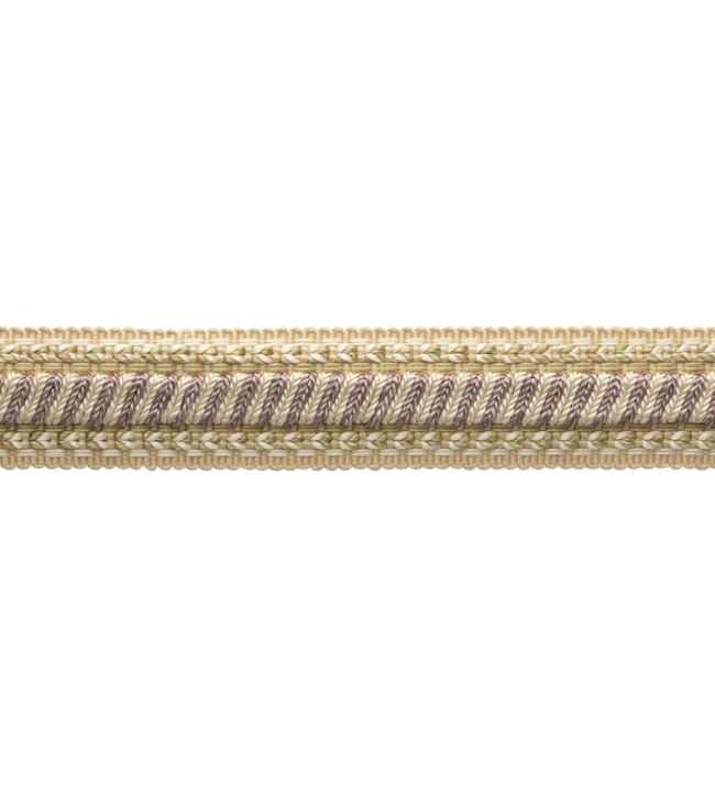 Bagatelle Braid Trimming by Samuel & Sons Wisteria