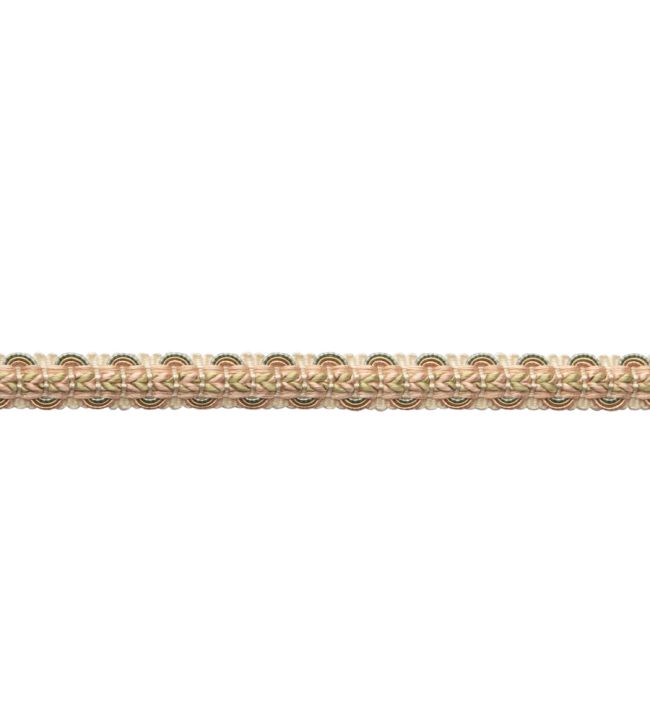 Bagatelle Braided Gimp Trimming by Samuel & Sons Bloom
