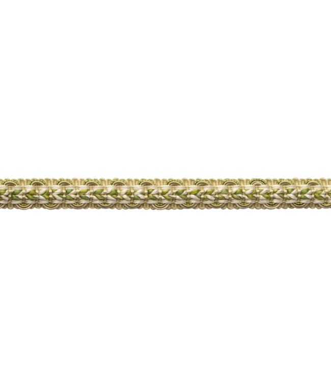 Bagatelle Braided Gimp Trimming by Samuel & Sons Fern