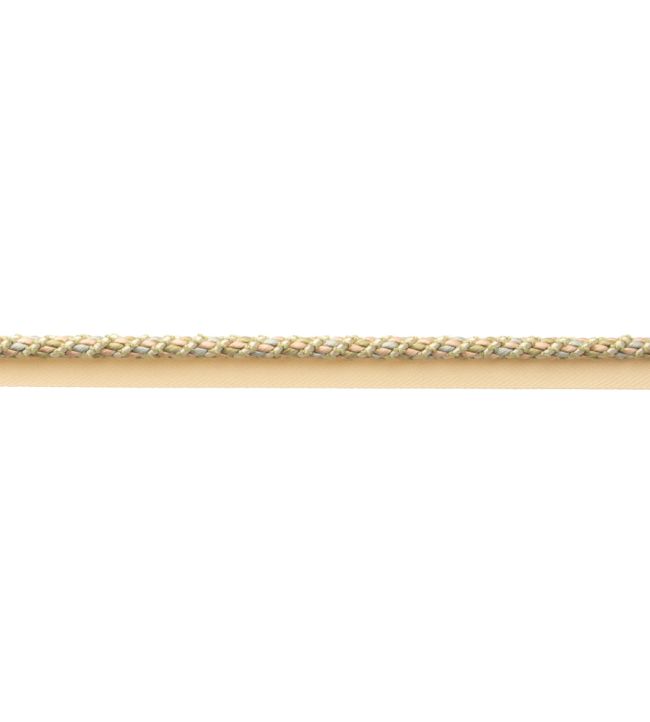 Bagatelle Cord With Tape Trimming by Samuel & Sons Bloom