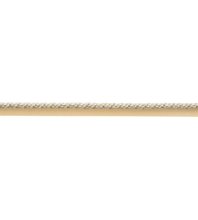 Bagatelle Cord With Tape Trimming by Samuel & Sons Dewdrop