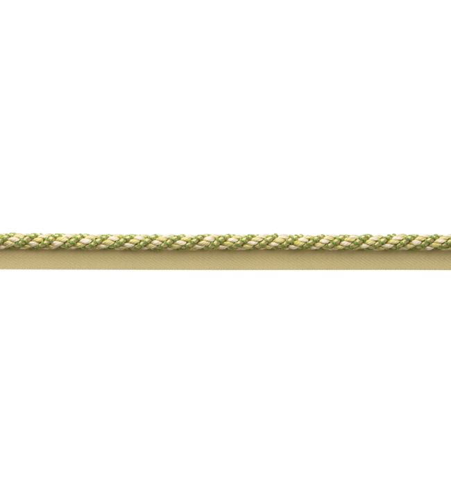 Bagatelle Cord With Tape Trimming by Samuel & Sons Fern