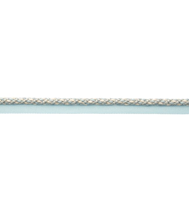 Bagatelle Cord With Tape Trimming by Samuel & Sons Hydrangea