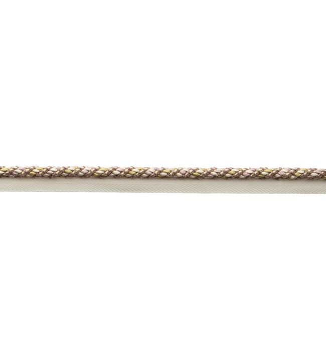 Bagatelle Cord With Tape Trimming by Samuel & Sons Wisteria