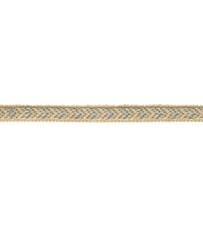 Bagatelle Gimp Trimming by Samuel & Sons Dewdrop