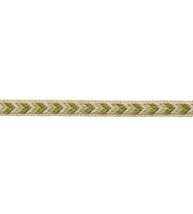 Bagatelle Gimp Trimming by Samuel & Sons Fern
