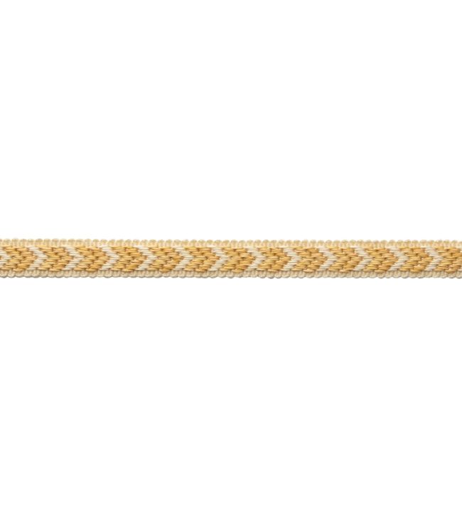 Bagatelle Gimp Trimming by Samuel & Sons Jonquil