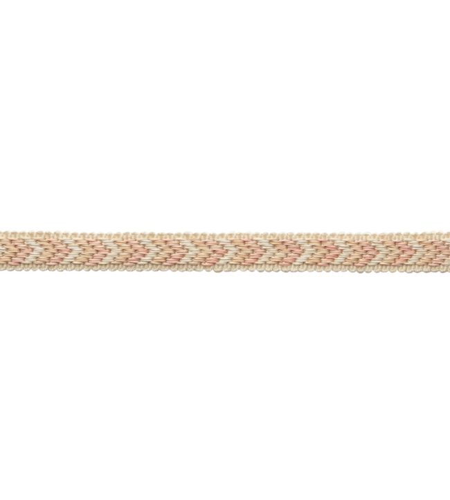 Bagatelle Gimp Trimming by Samuel & Sons Petal