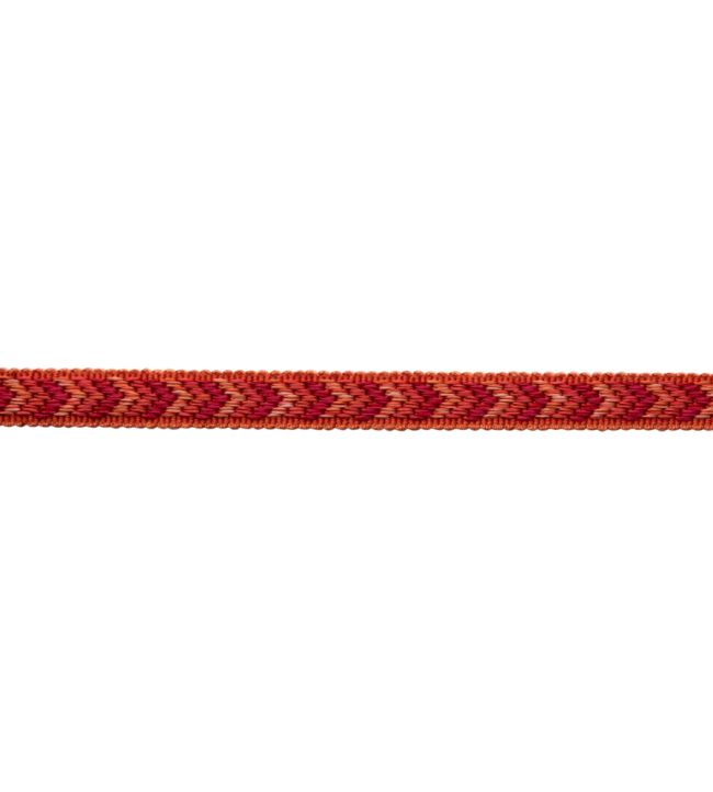 Bagatelle Gimp Trimming by Samuel & Sons Scarlet Rose