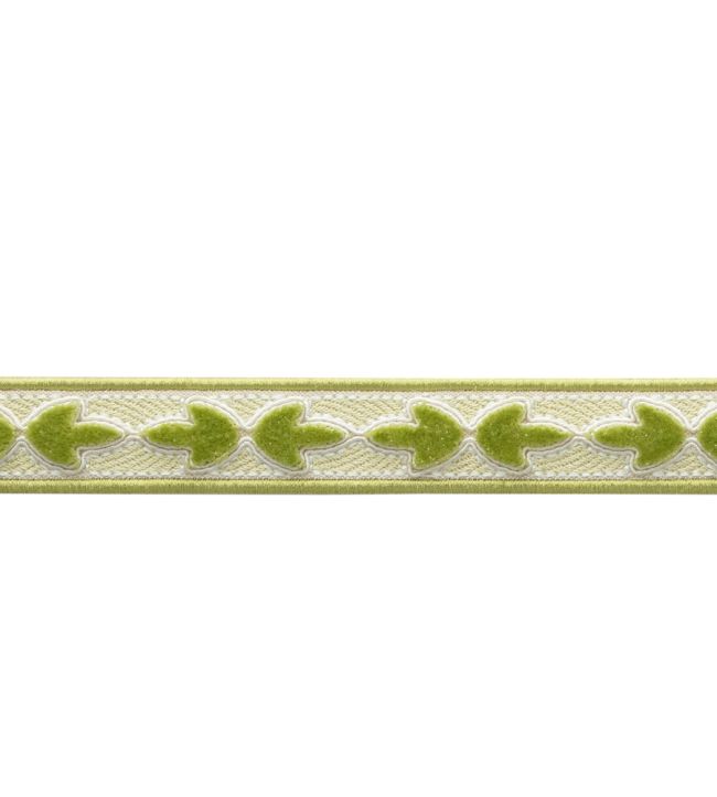Bagatelle Velvet Border Trimming by Samuel & Sons Fern