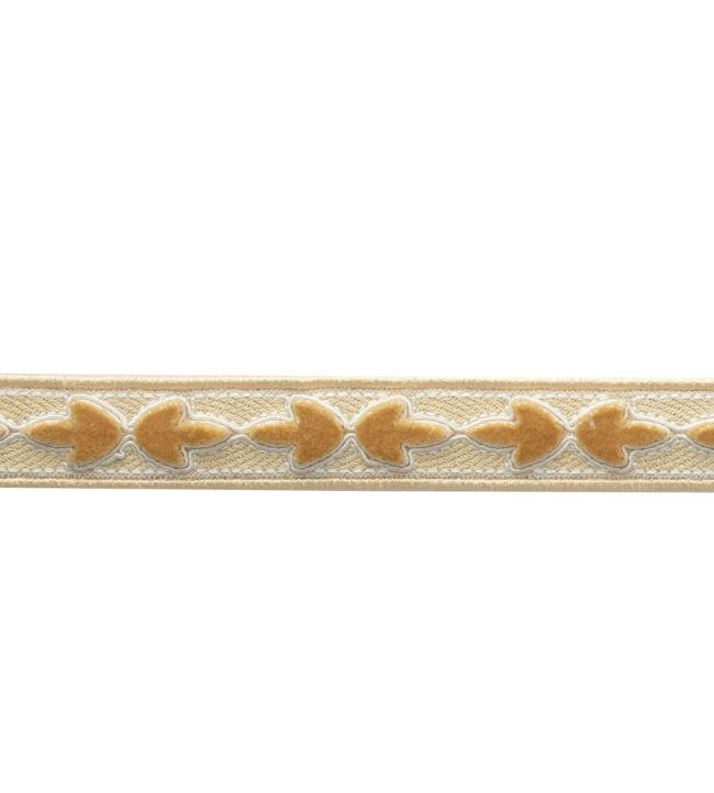 Bagatelle Velvet Border Trimming by Samuel & Sons Jonquil