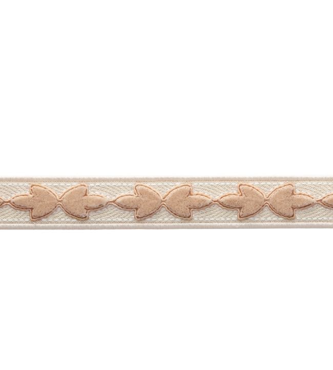 Bagatelle Velvet Border Trimming by Samuel & Sons Petal