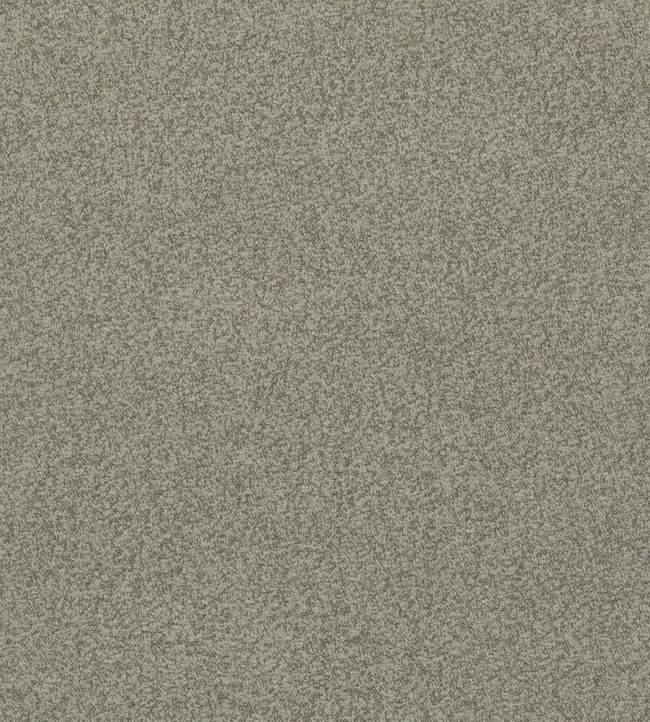 Baker House Boucle Fabric by GP & J Baker Dove